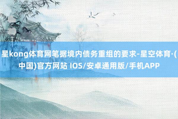 星kong体育网笔据境内债务重组的要求-星空体育·(中国)官方网站 IOS/安卓通用版/手机APP