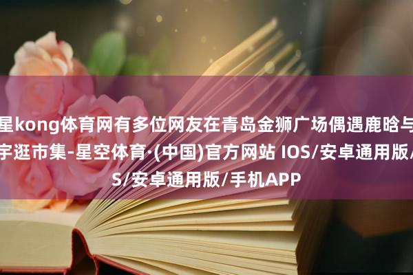 星kong体育网有多位网友在青岛金狮广场偶遇鹿晗与好友高瀚宇逛市集-星空体育·(中国)官方网站 IOS/安卓通用版/手机APP