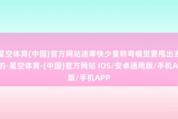 星空体育(中国)官方网站速率快少量转弯嗅觉要甩出去似的-星空体育·(中国)官方网站 IOS/安卓通用版/手机APP