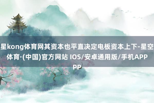 星kong体育网其资本也平直决定电板资本上下-星空体育·(中国)官方网站 IOS/安卓通用版/手机APP